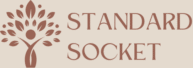 Standard Socket